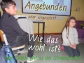 4-Streunerhilfe