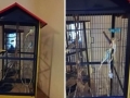 2019_01_12 Bellheim Vögel 01