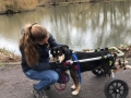 2019_01_28 Alsfeld Rolli-Hunde 1
