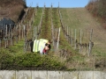 2019_02_27 Südpfalz 2. Müllaktion 02