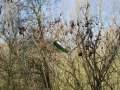 2019_02_27 Südpfalz 2. Müllaktion 18