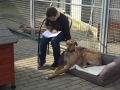 2019_02_28 Alsfeld Tiergestützte Leseförderung 01