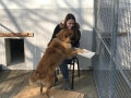 2019_02_28 Alsfeld Tiergestützte Leseförderung 02