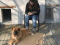 2019_02_28 Alsfeld Tiergestützte Leseförderung 03