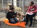 2019_02_28 Alsfeld Tiergestützte Leseförderung 04