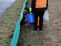 2019_03_04 Südpfalz 1. Kröten 04
