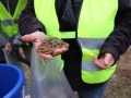 2019_03_04 Südpfalz 1. Kröten 08