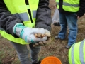 2019_03_04 Südpfalz 1. Kröten 09