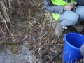 2019_03_04 Südpfalz 1. Kröten 19