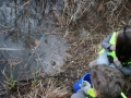 2019_03_04 Südpfalz 1. Kröten 20