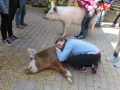 2019_04_13-Glarnerland-Bauernhofaktion-08