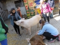 2019_04_13-Glarnerland-Bauernhofaktion-09
