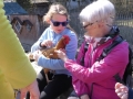 2019_04_13-Glarnerland-Bauernhofaktion-17