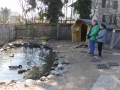 2019_04_13-Glarnerland-Bauernhofaktion-21