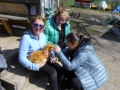 2019_04_13-Glarnerland-Bauernhofaktion-27