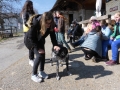 2019_04_13-Glarnerland-Bauernhofaktion-29
