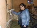 2019_04_13-Glarnerland-Bauernhofaktion-30