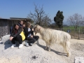 2019_04_13-Glarnerland-Bauernhofaktion-33
