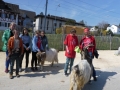 2019_04_13-Glarnerland-Bauernhofaktion-34
