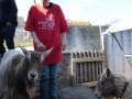 2019_04_13-Glarnerland-Bauernhofaktion-35