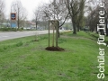 2019_04_13-Kandel-Bäume-für-Brillen-09