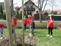 2019_04_13-Kandel-Bäume-für-Brillen-13