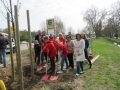 2019_04_13-Kandel-Bäume-für-Brillen-21