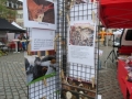 2019_05_19-TzN-Landau-15