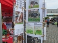 2019_05_19-TzN-Landau-16