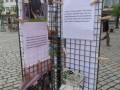 2019_05_19-TzN-Landau-18