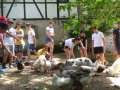 2019_06_25-Fürth-Projektwoche-06