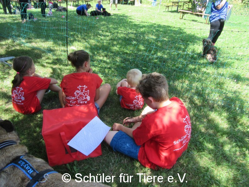 SfT Südpfalz hilft bei Sommerfest der Begegnungsstätte Mensch Hund in