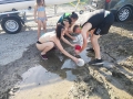 2019_06_30-Schüler-für-Tiere-Bellheim-retten-kleine-Fische-02