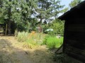 2019_07_01-Katzengarten-Lisa-13