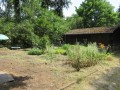 2019_07_01-Katzengarten-Lisa-14