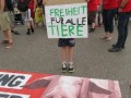 2019_07_27-Schließung-Schlachthäuser-FFM-08