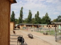 2019_08_05-Gnadenhof-Worms-22