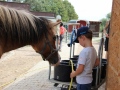 2019_08_05-Gnadenhof-Worms-36