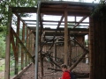 2019_08_06-TierArt-Maßweiler-30