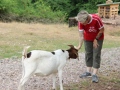 2019_08_06-TierArt-Maßweiler-47