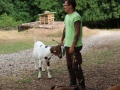 2019_08_06-TierArt-Maßweiler-48