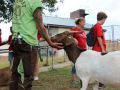 2019_08_06-TierArt-Maßweiler-53