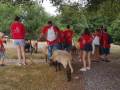 2019_08_06-TierArt-Maßweiler-67