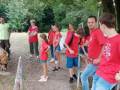 2019_08_06-TierArt-Maßweiler-71