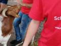 2019_08_06-TierArt-Maßweiler-72