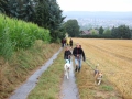 2019_08_07-Animal-hope-e.V.-Illingen-01