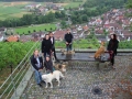 2019_08_07-Animal-hope-e.V.-Illingen-03