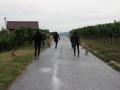 2019_08_07-Animal-hope-e.V.-Illingen-06