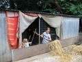 2019_08_07-Animal-hope-e.V.-Illingen-27