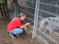 2019_08_07-Animal-hope-e.V.-Illingen-31